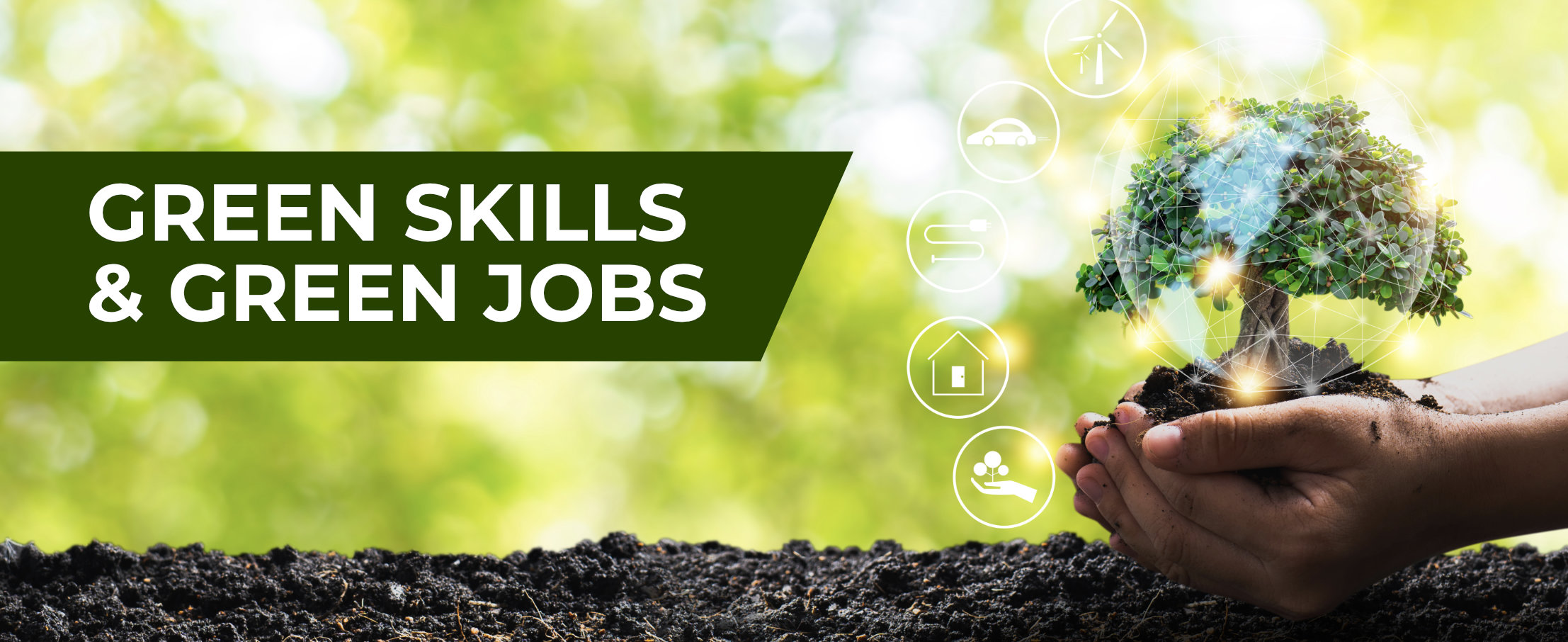 Skills for Green Careers, Green Society and Green Life supported by